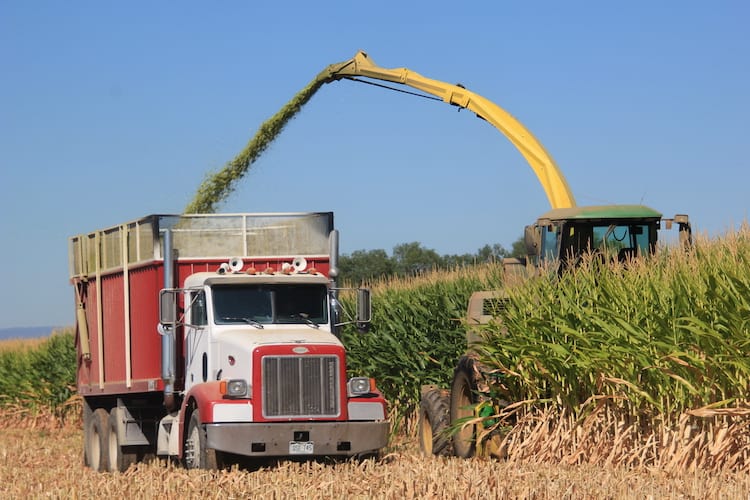 Corn harvest, Delta County, Colorado, September 2019