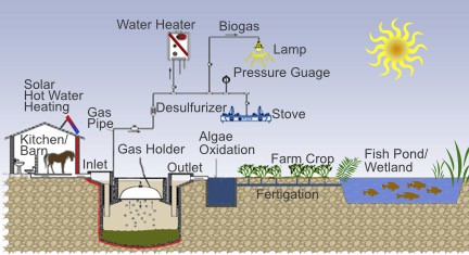 Biogas in the San Luis Valley