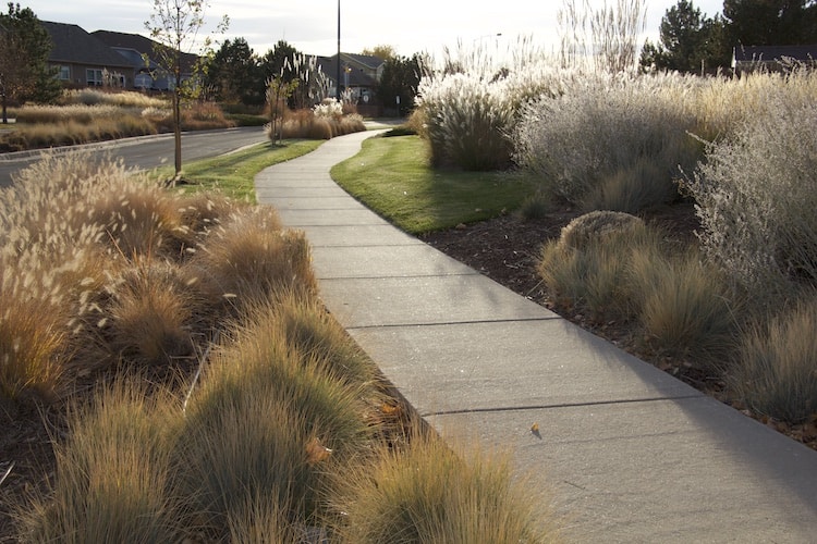 Commerce City, ornamental grasses, xeriscaping