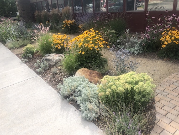 Steamboat Springs city hall, xeriscaping