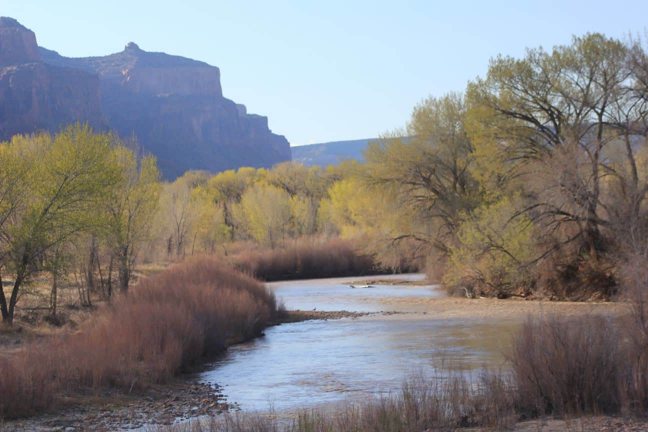 Dolores River near Gateway, Colorado. Photo/Allen Best